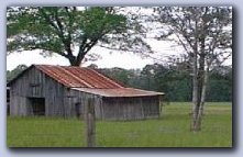 Old barn