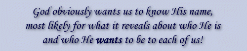 God obviously wants us to know His name, most likely for what it reveals about who He is and who He WANTS to be to each of us.